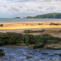 Buy canvas prints of Stream at Coppet Hall, Saundersfoot by Martin Chambers
