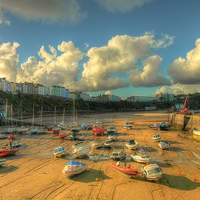 Buy canvas prints of  Tenby Harbour by Martin Chambers