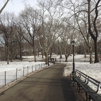Buy canvas prints of Central Park Snow scene by Stuart Barnes