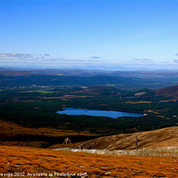 Buy canvas prints of Cairn Gorm Summit View by Sarah George