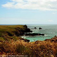Buy canvas prints of Cornish Cliffs by Sarah George
