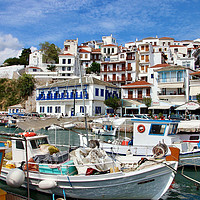 Buy canvas prints of Skopelos Harbour Landscape by Sarah George