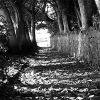 Buy canvas prints of church path autumn by TERENCE O'NEILL