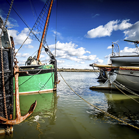 Buy canvas prints of  Thames Barges on the Blackwater by Robin East
