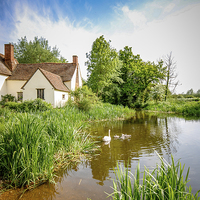 Buy canvas prints of  Willy Lott's Cottage by Robin East