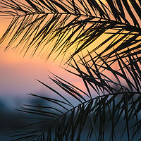 Buy canvas prints of Mediterranean Sunset by Michael Goyberg