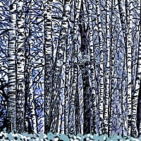 Buy canvas prints of Birch Grove by Michael Goyberg