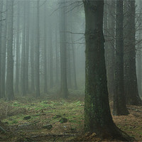 Buy canvas prints of Macclesfield Forest by Richard Cooper