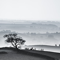 Buy canvas prints of Devon hillscape in black and white by nigel allison