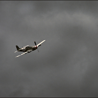 Buy canvas prints of P51 Mustang by Jason Green