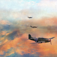 Buy canvas prints of P51 Painted by Jason Green