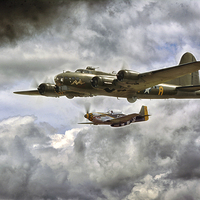 Buy canvas prints of  Sally B and Mustang by Jason Green