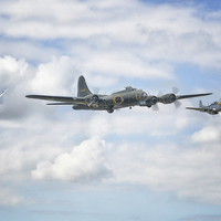 Buy canvas prints of  Sally B with her little friends by Jason Green
