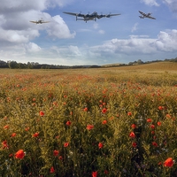 Buy canvas prints of Lest We Forget by Jason Green