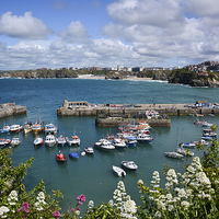 Buy canvas prints of  Newquay Harbour by Jason Green