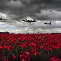 Buy canvas prints of Spitfires And Blenheim  by Jason Green