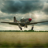 Buy canvas prints of  The Shark Mustang by Jason Green
