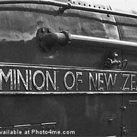 Buy canvas prints of A4 No.4492 Dominion Of New Zealand (Bittern) by William Kempster
