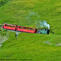 Buy canvas prints of Brienz Rothorn railway by William Kempster
