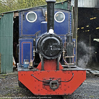 Buy canvas prints of Andrew Barclay built locomotive DOLL by William Kempster