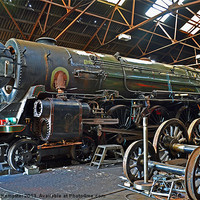 Buy canvas prints of Oliver Cromwell in GCR Shed by William Kempster