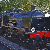 Buy canvas prints of Southern U Class No.31806 by William Kempster