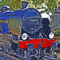 Buy canvas prints of Southern U Class No 31806 by William Kempster