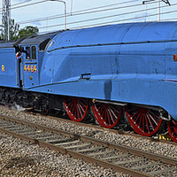 Buy canvas prints of The Ebor Streak LNER A4 Bittern by William Kempster