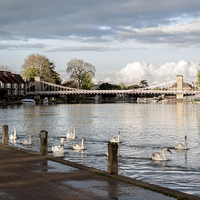 Buy canvas prints of Marlow by Laura Witherden