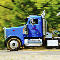 Buy canvas prints of Central Park Trucker by Laura Witherden