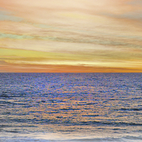 Buy canvas prints of Sundown at Cottesloe by Laura Witherden