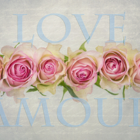 Buy canvas prints of Love Amour by Abdul Kadir Audah