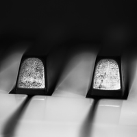 Buy canvas prints of Piano Keys by Malcolm Smith