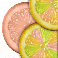 Buy canvas prints of life is a lemon collection 4 by stewart oakes