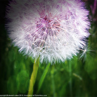 Buy canvas prints of wishes, good things too come by stewart oakes