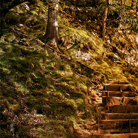Buy canvas prints of Secret staircase by stewart oakes