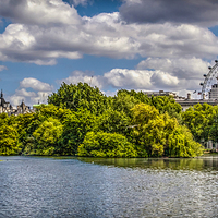 Buy canvas prints of London Eye from St Jamess Park by stewart oakes