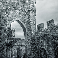 Buy canvas prints of Gwrych Castle Collection 2 by stewart oakes