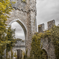 Buy canvas prints of Gwrych Castle Collection 3 by stewart oakes