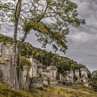 Buy canvas prints of Gwrych Castle Collection 6 by stewart oakes