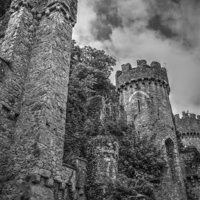 Buy canvas prints of Gwrych Castle Collection 16 by stewart oakes