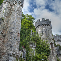 Buy canvas prints of Gwrych Castle Collection 18 by stewart oakes