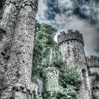 Buy canvas prints of Gwrych Castle Collection 19 by stewart oakes