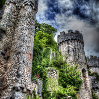 Buy canvas prints of Gwrych Castle Collection 20 by stewart oakes