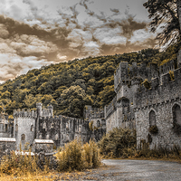 Buy canvas prints of Gwrych Castle Collection 23 by stewart oakes