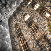 Buy canvas prints of Gwrych Castle Collection 25 by stewart oakes