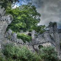 Buy canvas prints of Gwrych Castle Collection 29 by stewart oakes