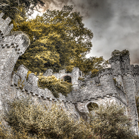 Buy canvas prints of Gwrych Castle Collection 30 by stewart oakes
