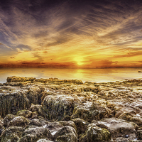 Buy canvas prints of Isle of Wight  Seaview by stewart oakes