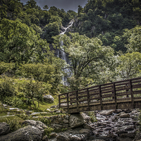 Buy canvas prints of Path to Aber Falls 2 by stewart oakes